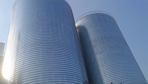 汤原2座混凝土高架卷板仓